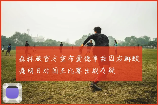 森林狼官方宣布爱德华兹因右脚酸痛明日对国王比赛出战存疑