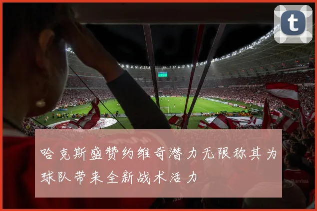 哈克斯盛赞约维奇潜力无限称其为球队带来全新战术活力