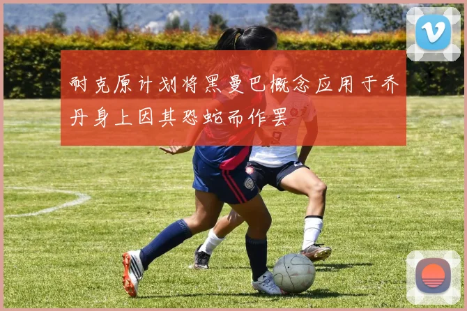 耐克原计划将黑曼巴概念应用于乔丹身上因其恐蛇而作罢
